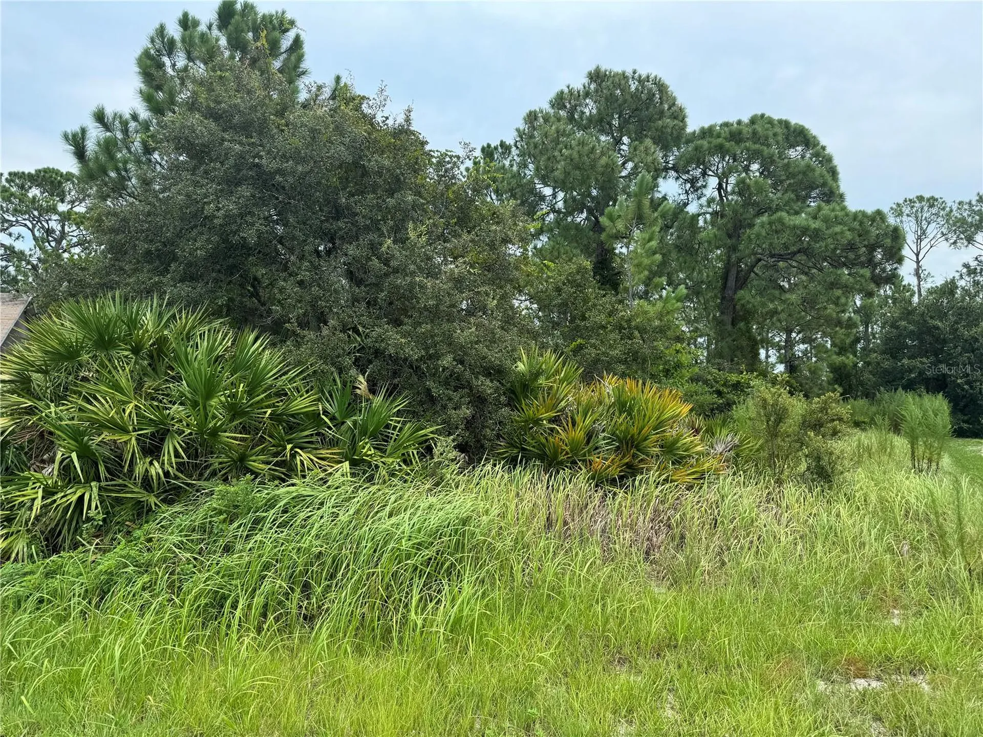 1238 Apopka Lane Kissimmee FL 34759