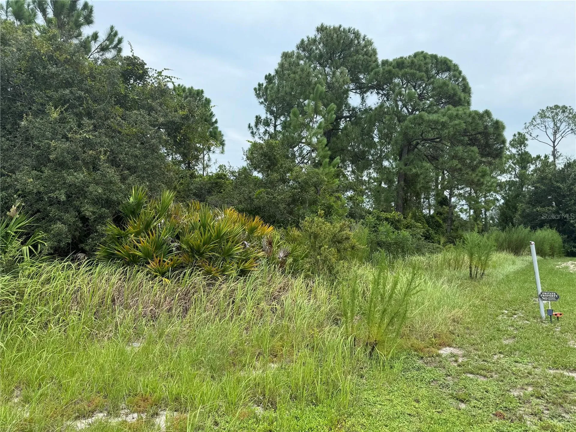 1238 Apopka Lane Kissimmee FL 34759