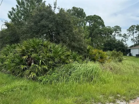 1238 Apopka Lane Kissimmee FL 34759