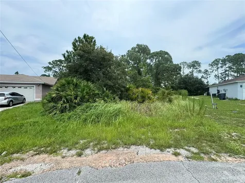 1238 Apopka Lane Kissimmee FL 34759