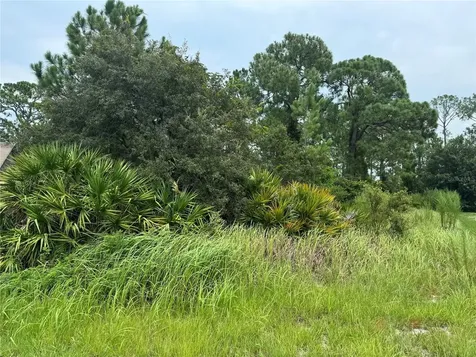1238 Apopka Lane Kissimmee FL 34759