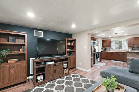 1175 Holly Drive Mount Dora FL 32757