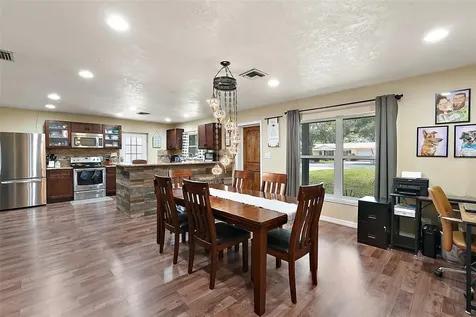 1175 Holly Drive Mount Dora FL 32757