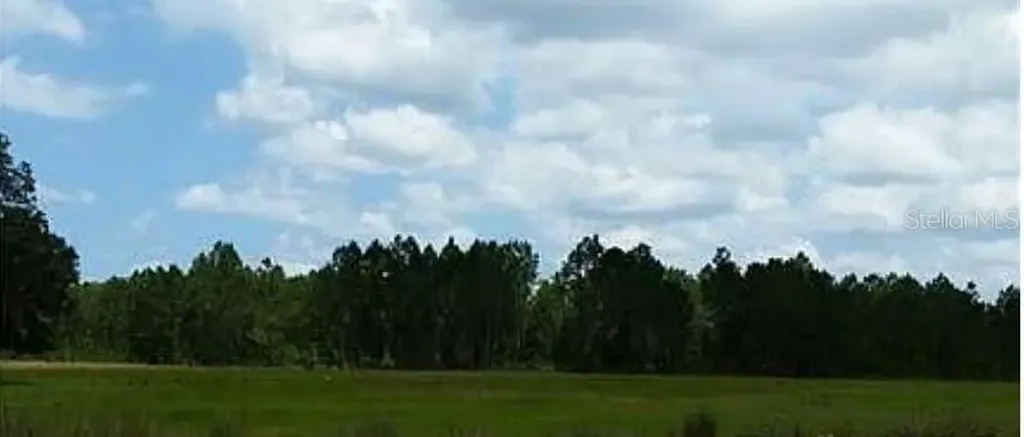 Big John Drive Deland FL 32724