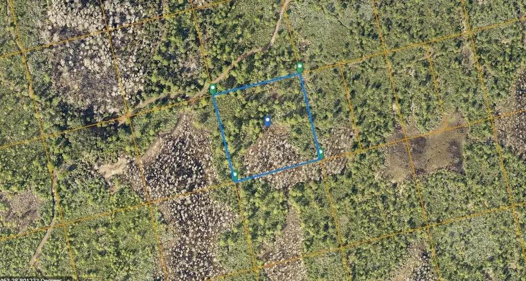 County Line Ditch Road Oak Hill FL 32759