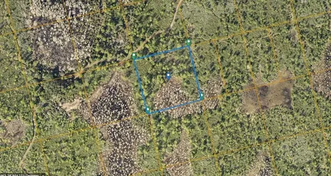 County Line Ditch Road Oak Hill FL 32759
