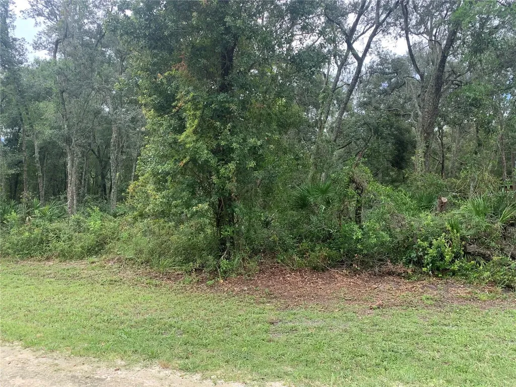 35314 Goethals Street Webster FL 33597