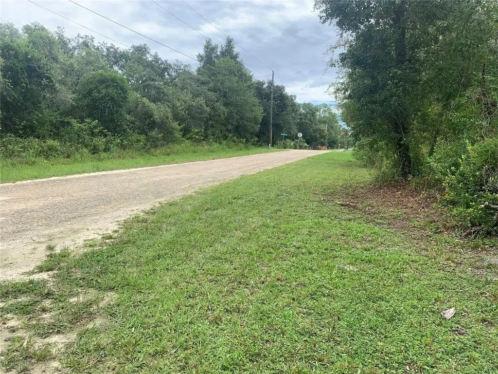 35314 Goethals Street Webster FL 33597