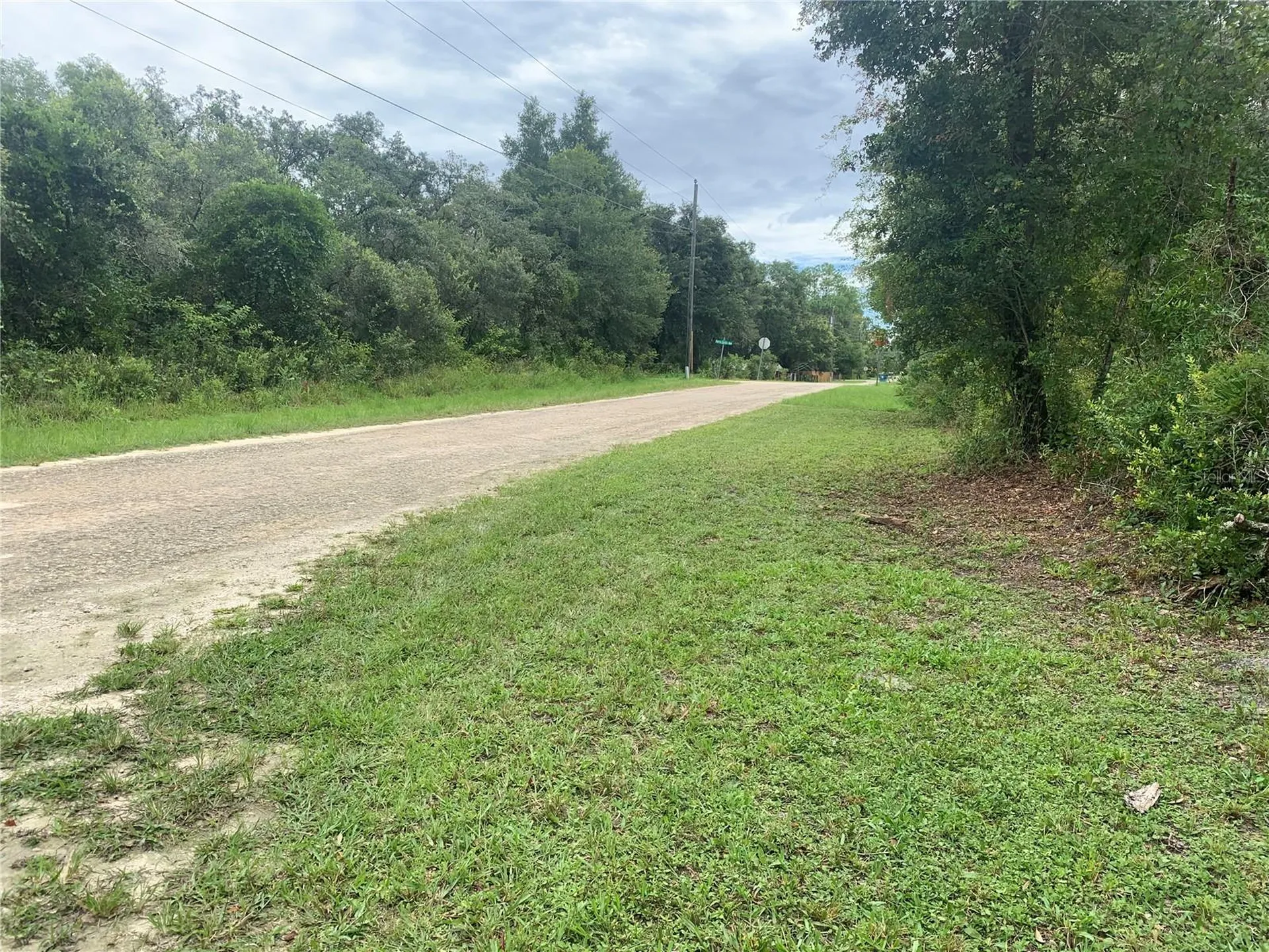 35314 Goethals Street Webster FL 33597