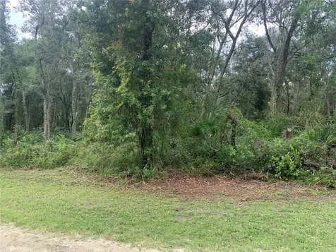 35314 Goethals Street Webster FL 33597