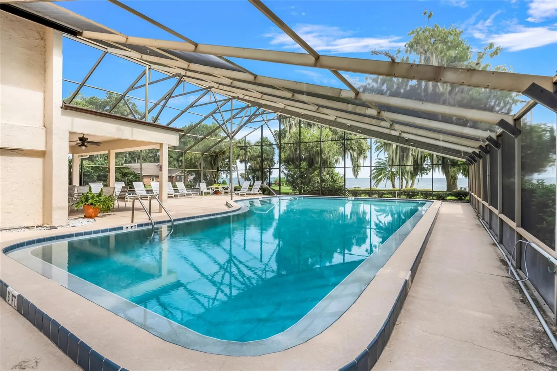 701 Clusterwood Drive Yalaha FL 34797