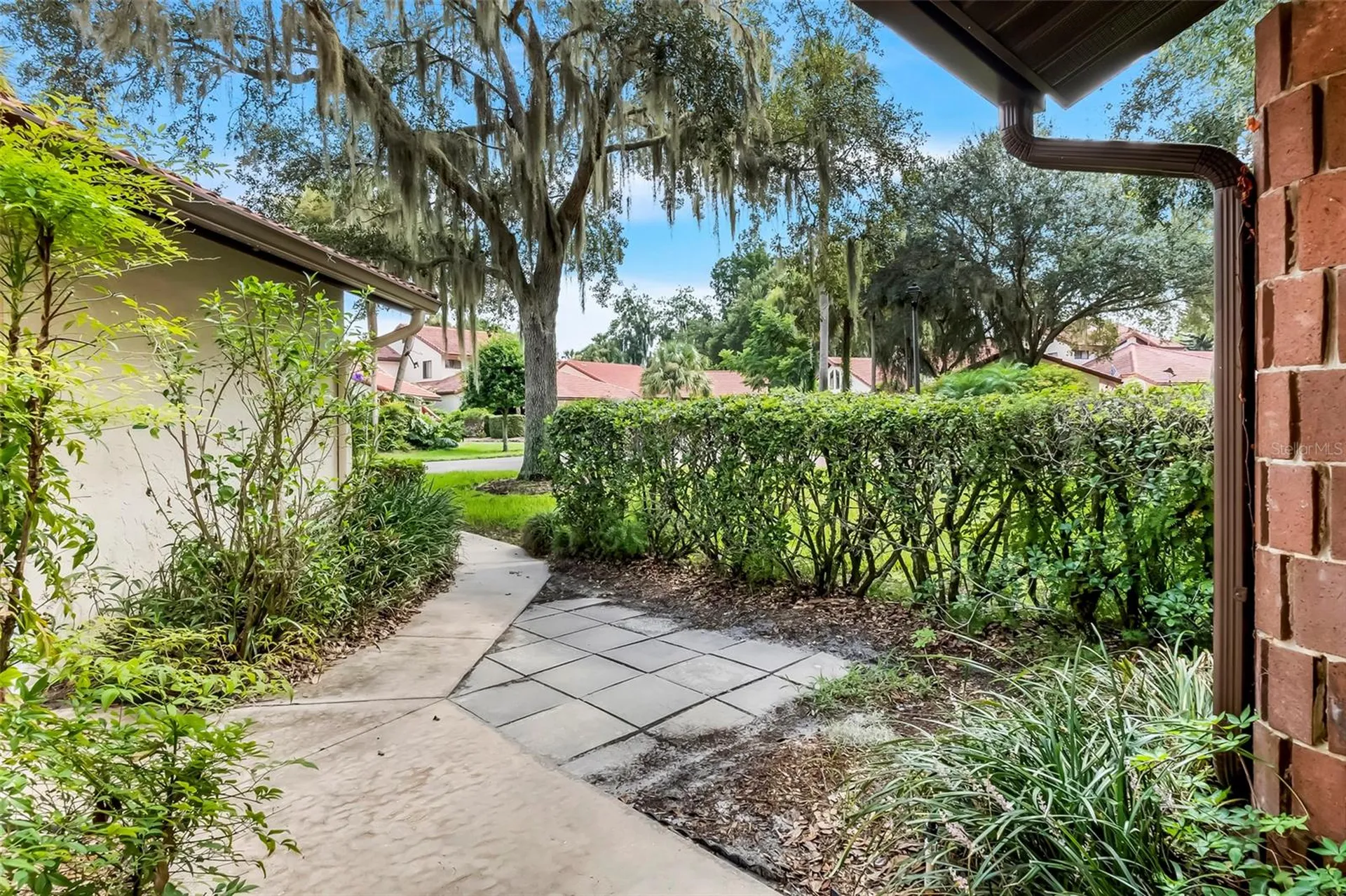 701 Clusterwood Drive Yalaha FL 34797