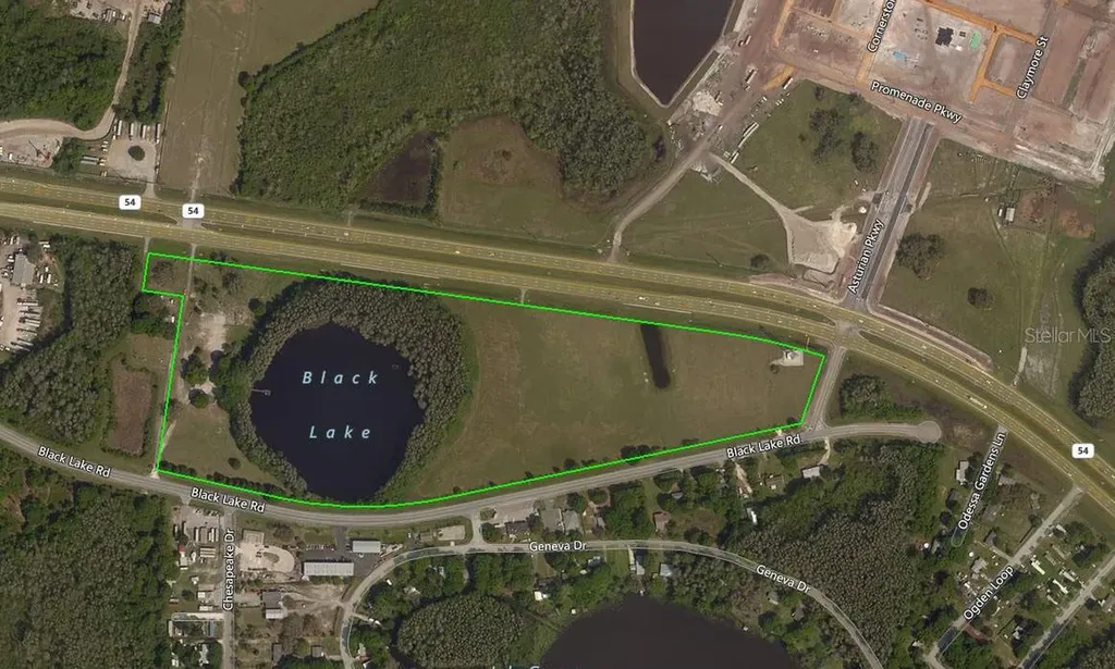 14325 Black Lake Road Odessa FL 33556