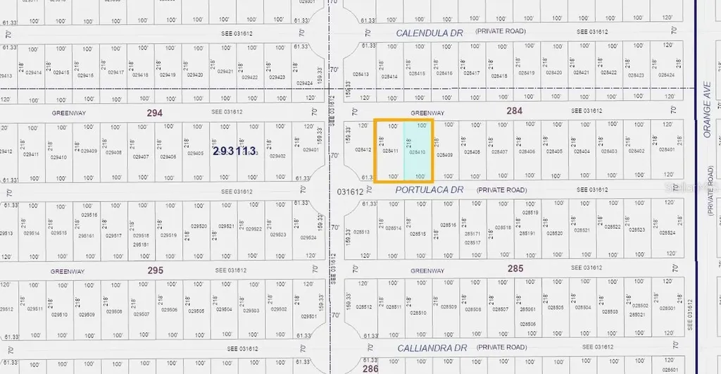 820 & 822 Portulaca Drive Indian Lake Estates FL 33855