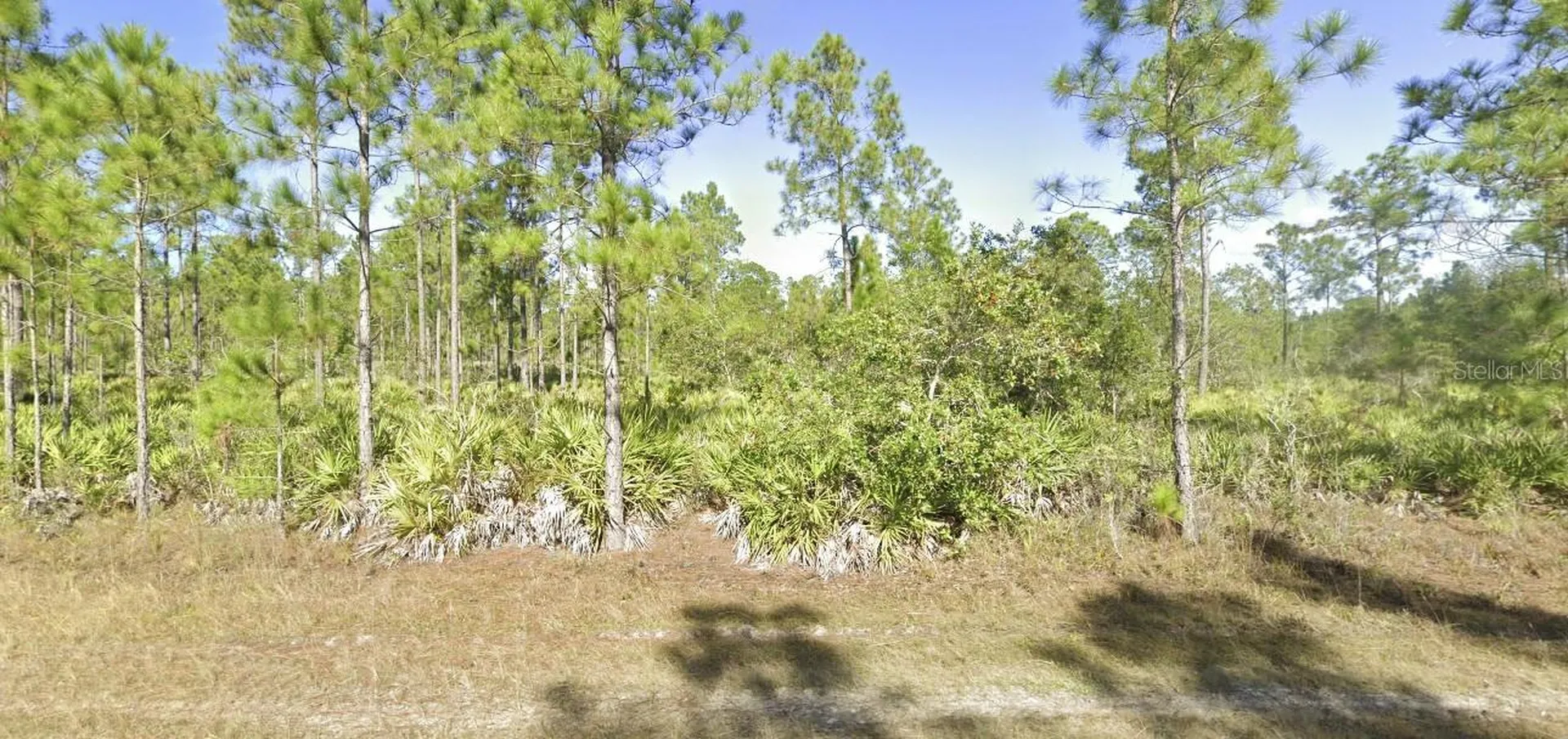 820 & 822 Portulaca Drive Indian Lake Estates FL 33855
