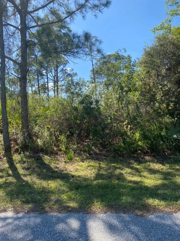 3261 Callisto Street Port Charlotte FL 33981