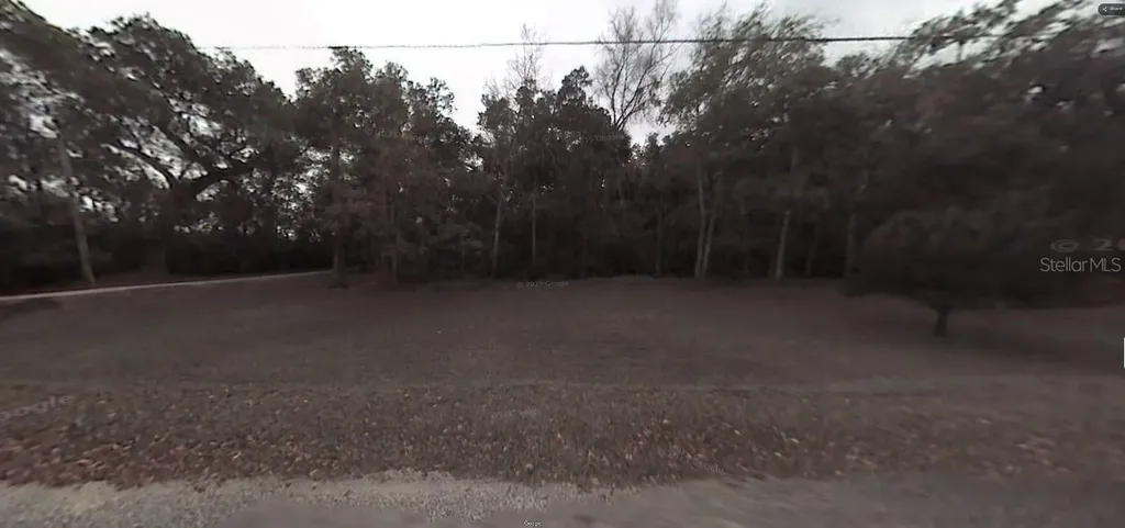 Stacy Grove Road Oak Hill FL 32759