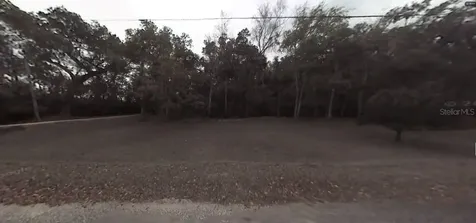 Stacy Grove Road Oak Hill FL 32759