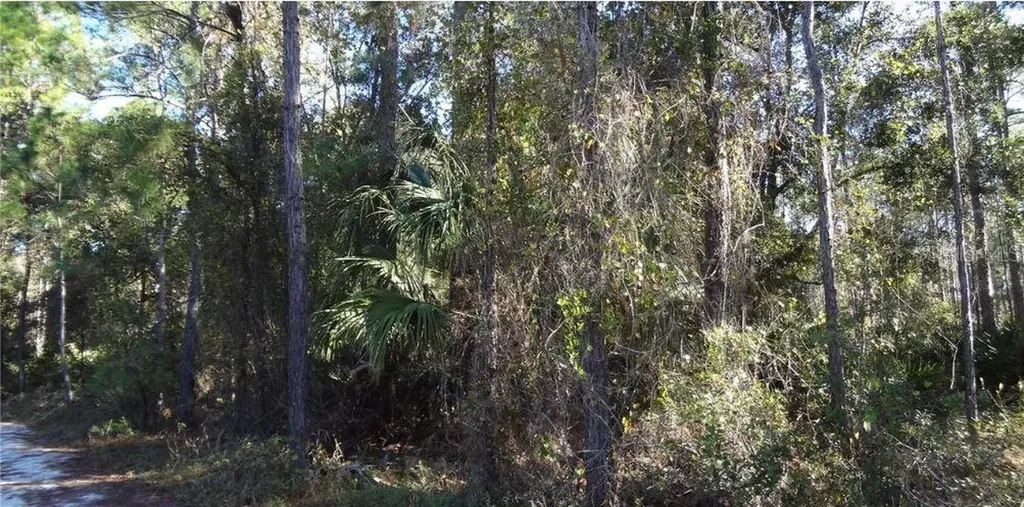 12TH Avenue Deland FL 32724