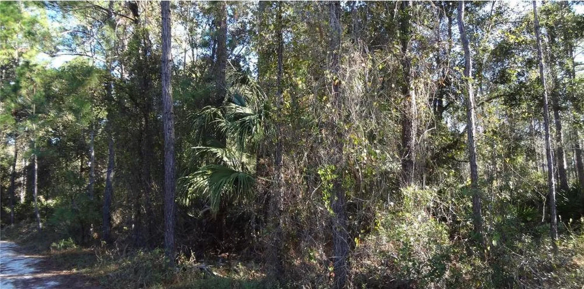12TH Avenue Deland FL 32724