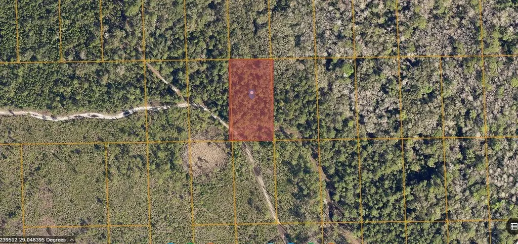 Nectarine Road Deland FL 32724