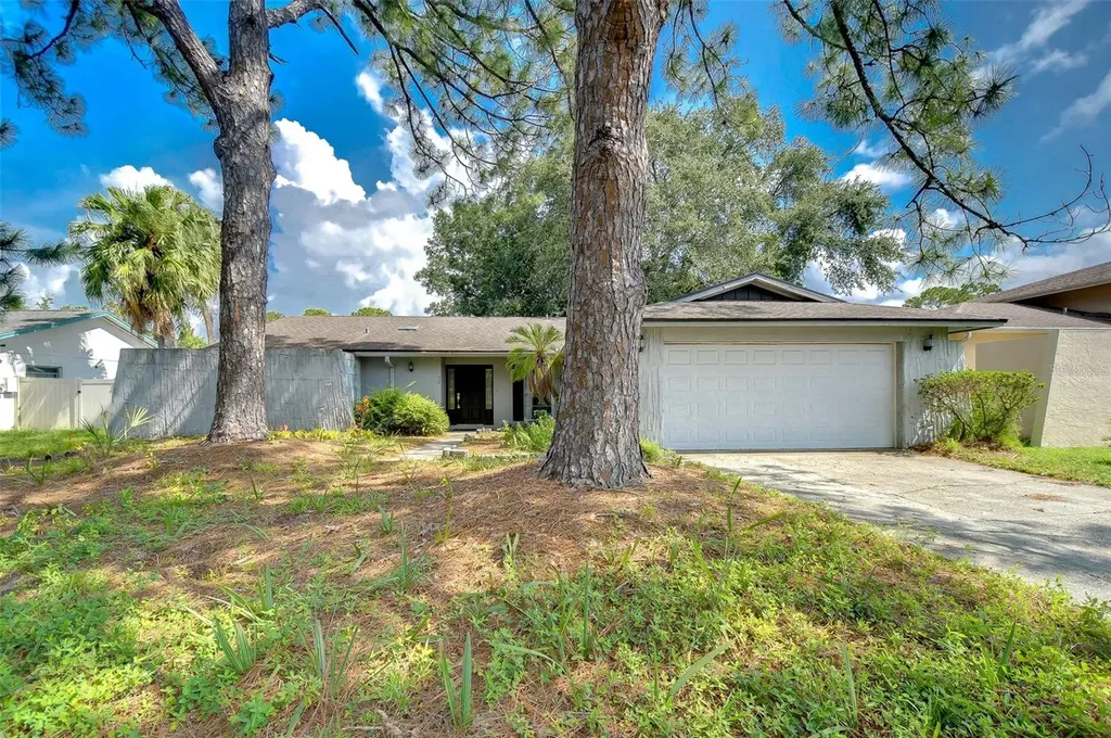 7521 Barry Road Tampa FL 33634
