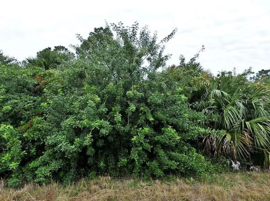 Ceriman Road North Port FL 34288