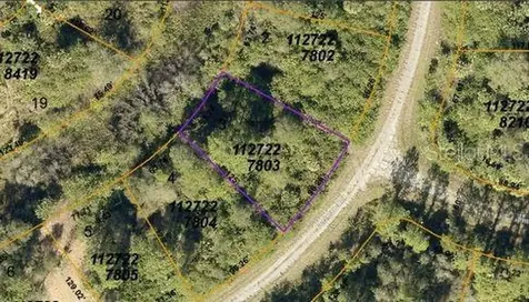 Ceriman Road North Port FL 34288