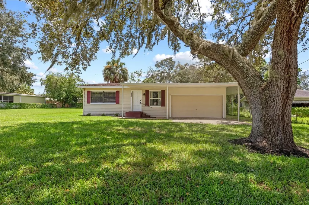 807 Louise Street Brandon FL 33511