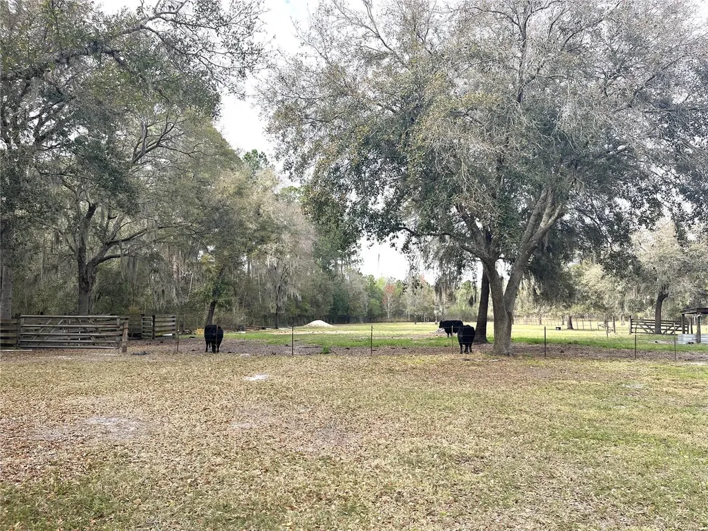 30737 Elam Road Wesley Chapel FL 33545