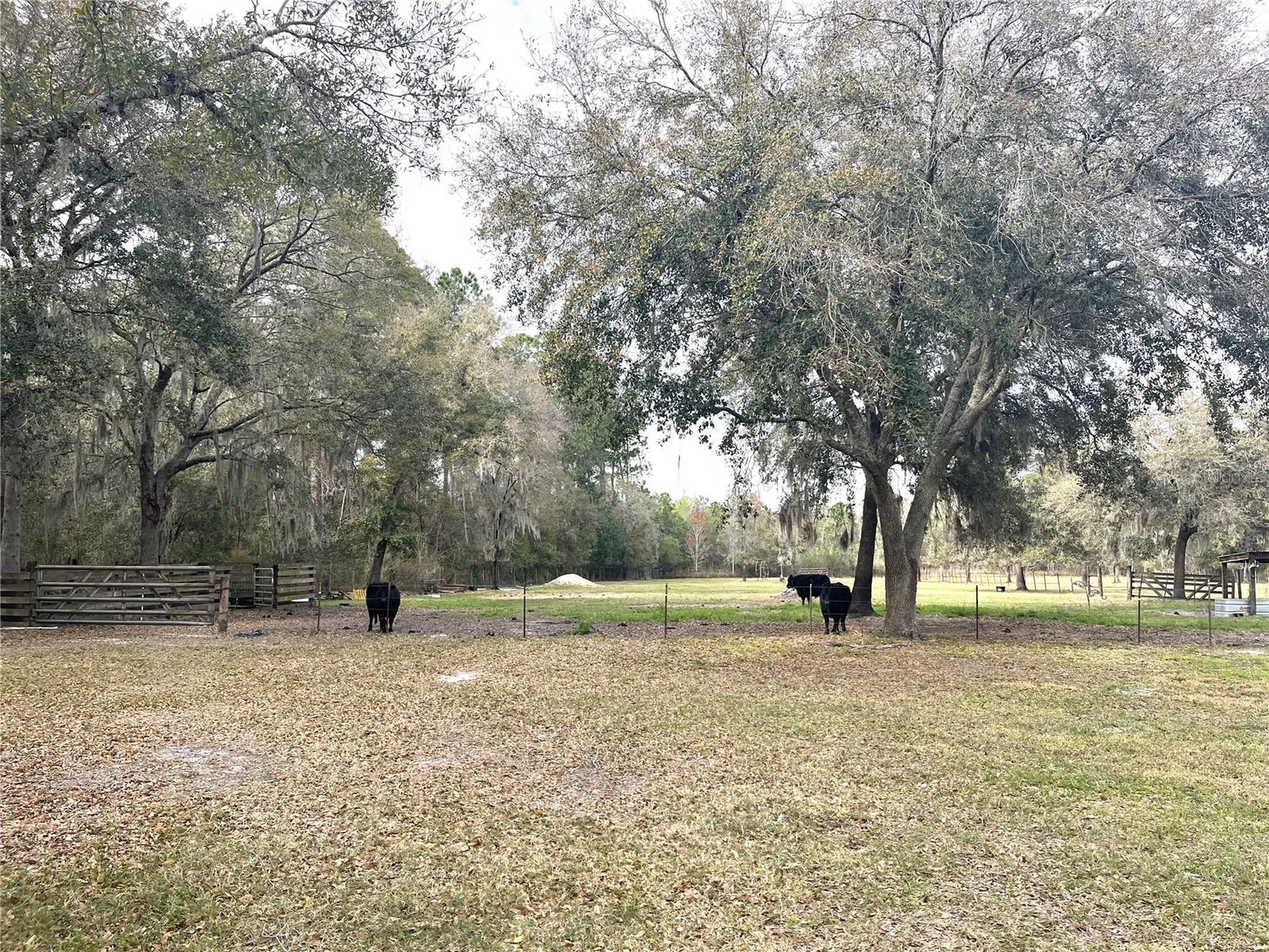 30737 Elam Road Wesley Chapel FL 33545