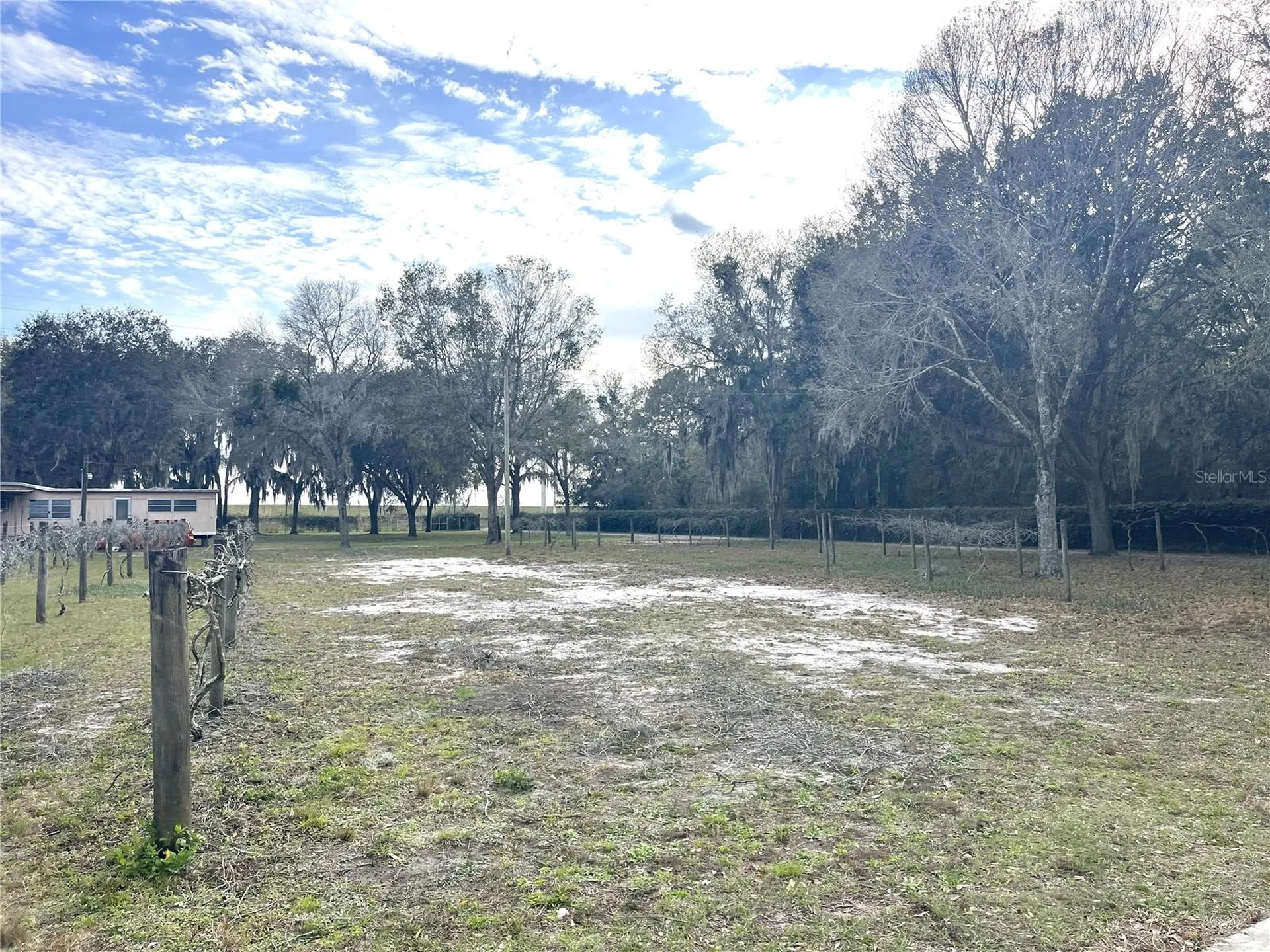 30737 Elam Road Wesley Chapel FL 33545