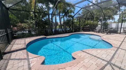 15665 Lemon Fish Drive Lakewood Ranch FL 34202