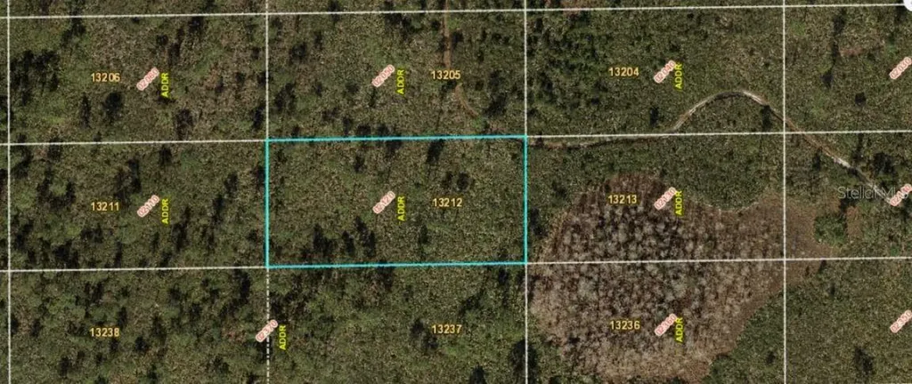 Dill Road Orlando FL 32820