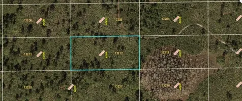 Dill Road Orlando FL 32820