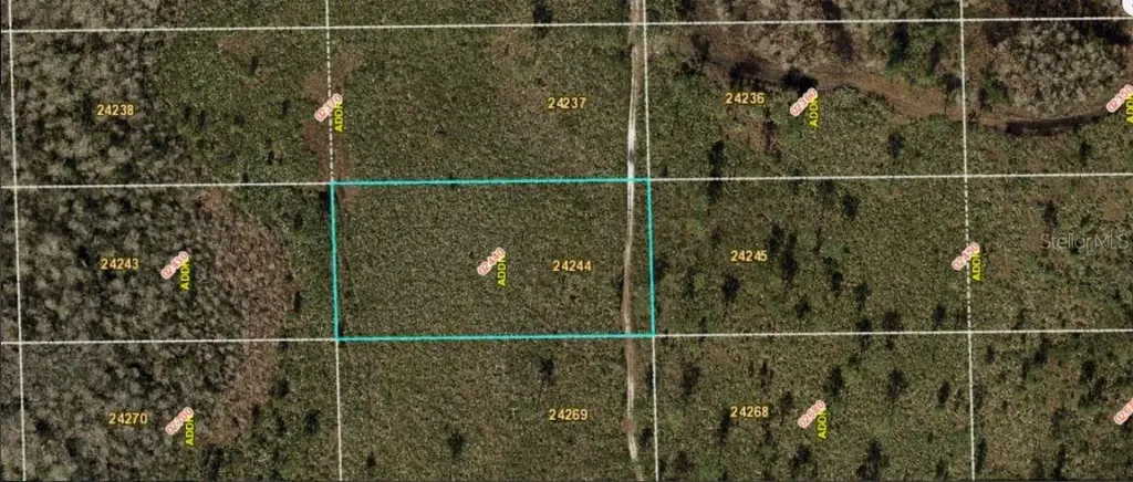 Dill Road Orlando FL 32820