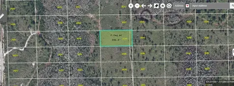 Dill Road Orlando FL 32820