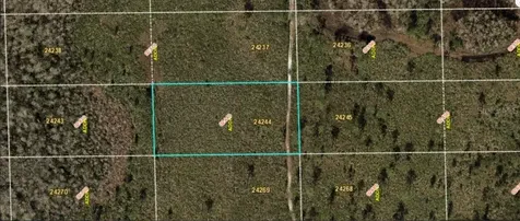 Dill Road Orlando FL 32820