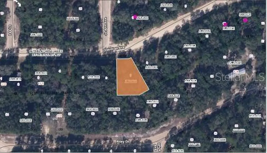 Riley Drive Interlachen FL 32148
