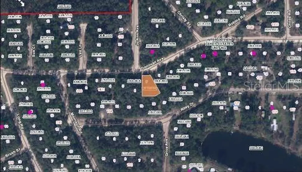 Riley Drive Interlachen FL 32148