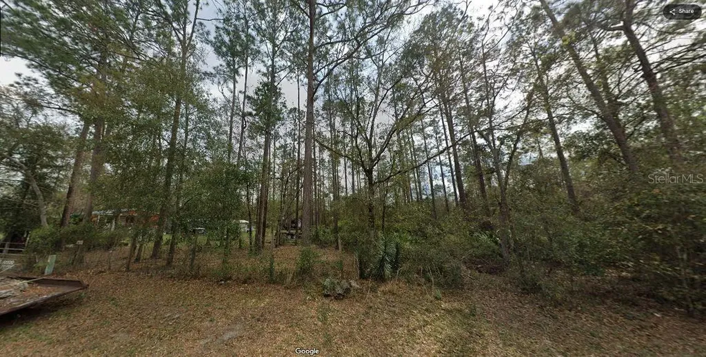 Riley Drive Interlachen FL 32148