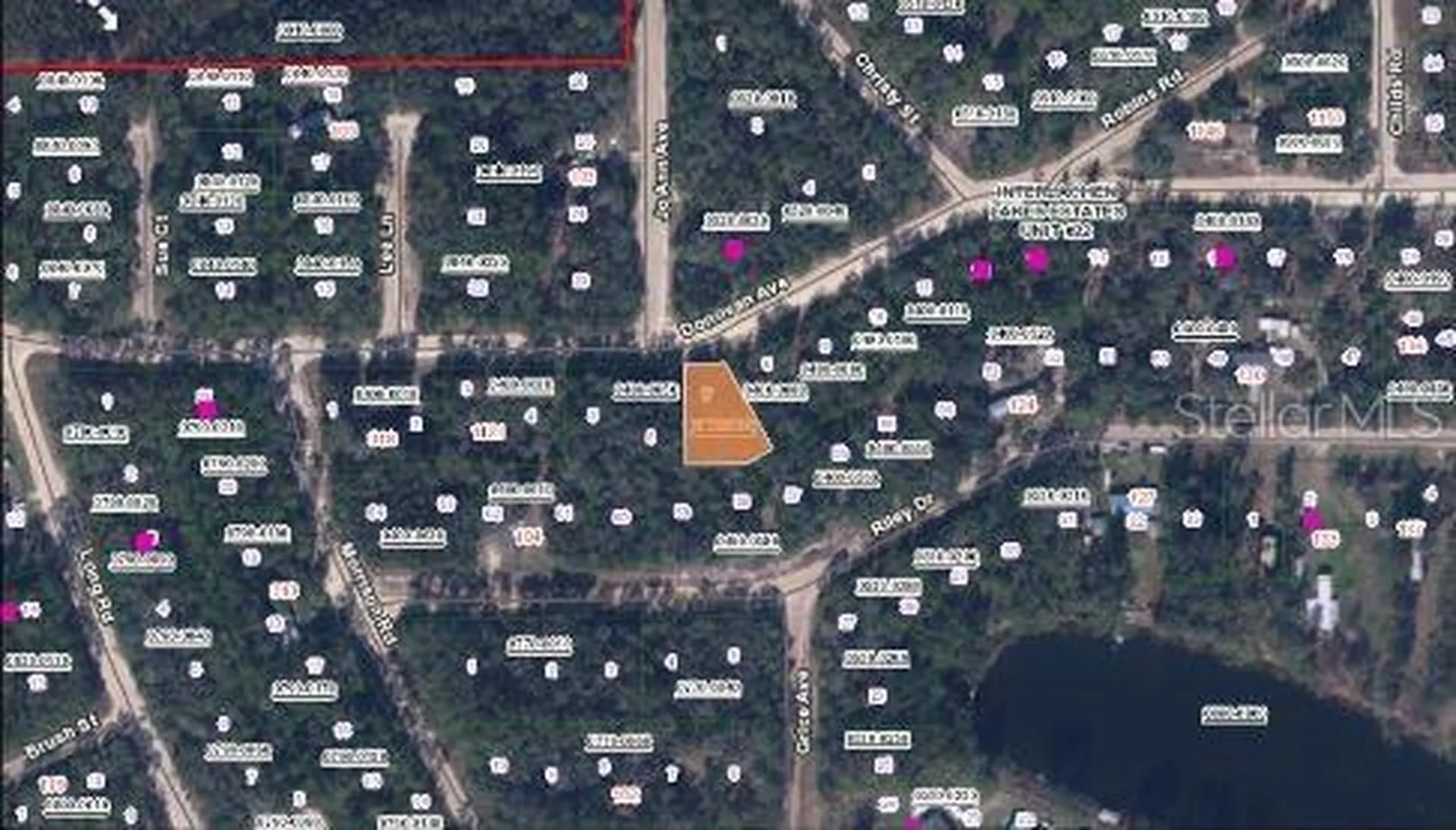 Riley Drive Interlachen FL 32148