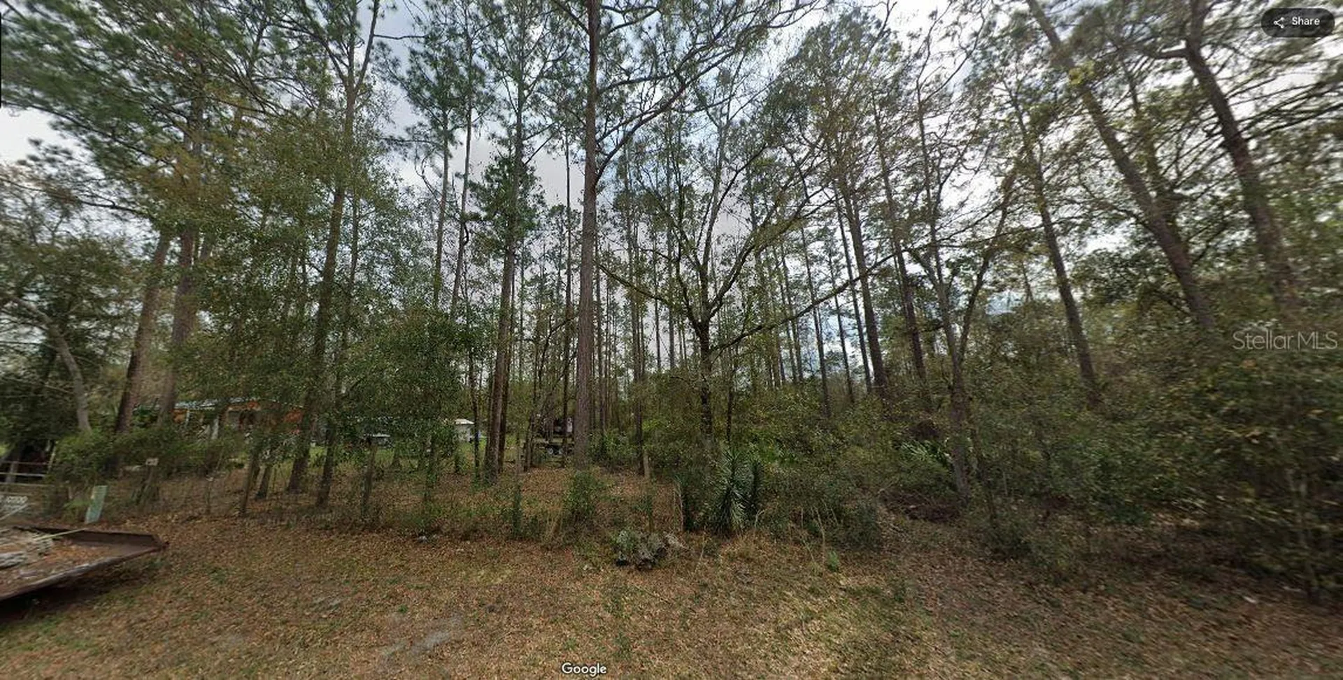 Riley Drive Interlachen FL 32148