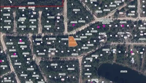 Riley Drive Interlachen FL 32148