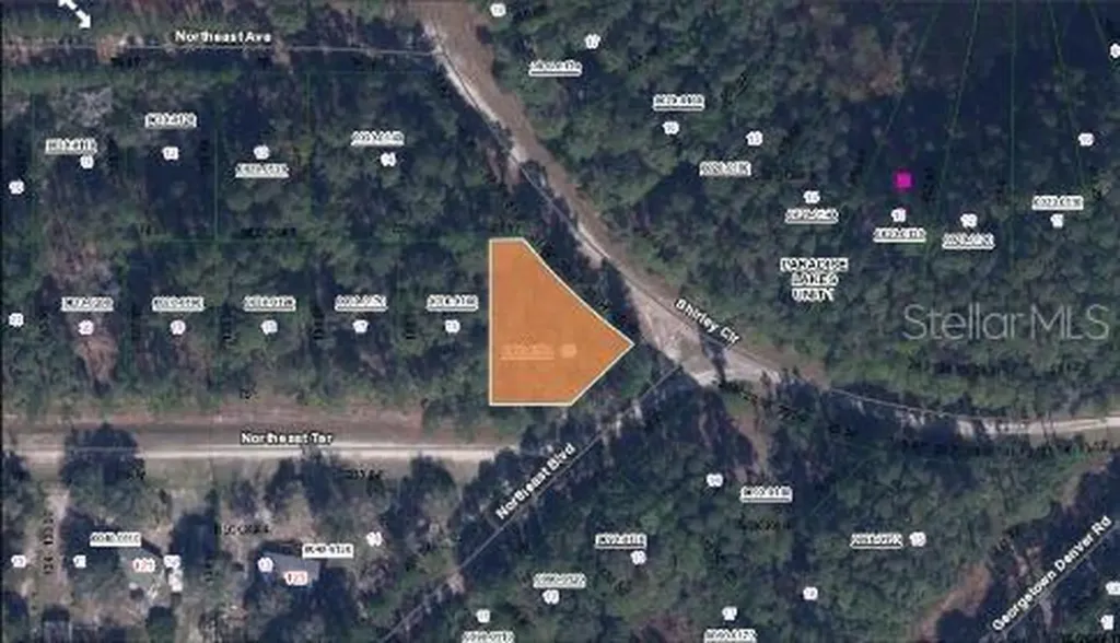Shirley Cir, Georgetown FL 32139
