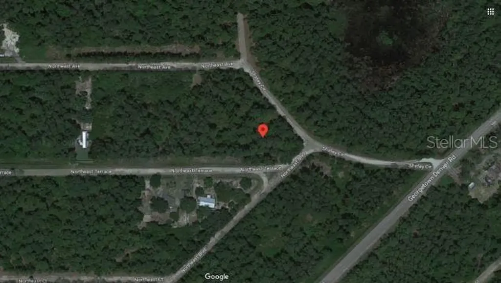 Shirley Cir, Georgetown FL 32139