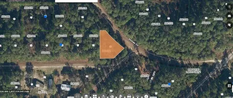 Shirley Cir, Georgetown FL 32139
