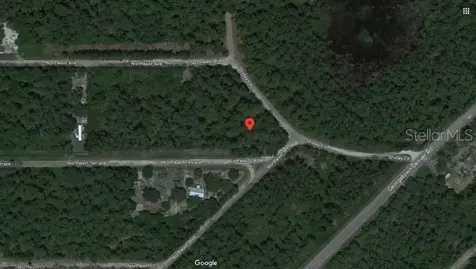 Shirley Cir, Georgetown FL 32139