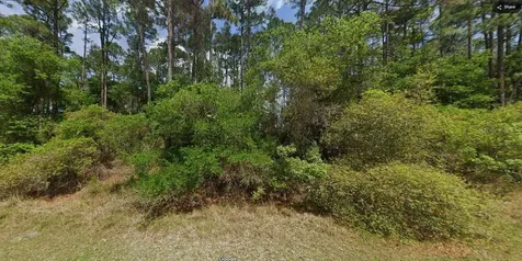 Shirley Cir, Georgetown FL 32139