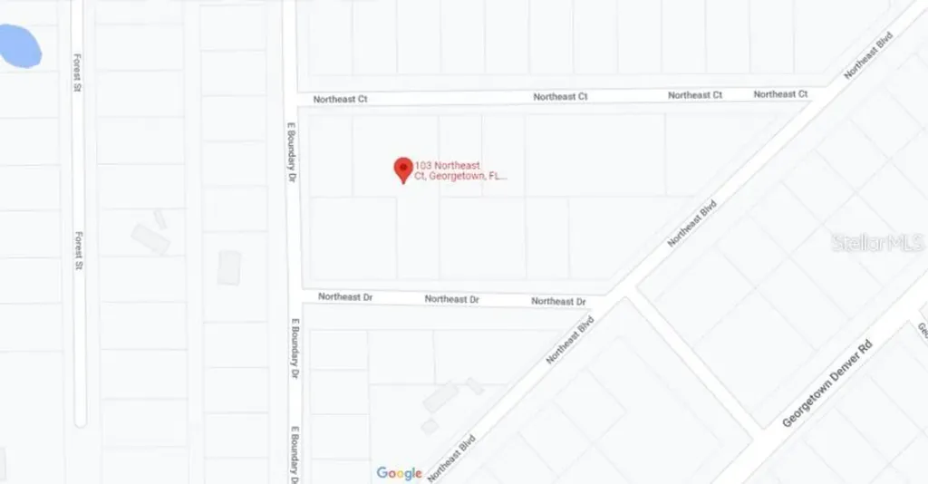 103 Northeast Court Georgetown FL 32139